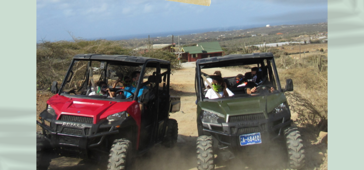 5 MUST DO ACTIVITIES IN ARUBA (BESIDES WHITE SAND BEACH AND COCKTAILS) UTV tour Around Aruba Palms and Fofoti trees